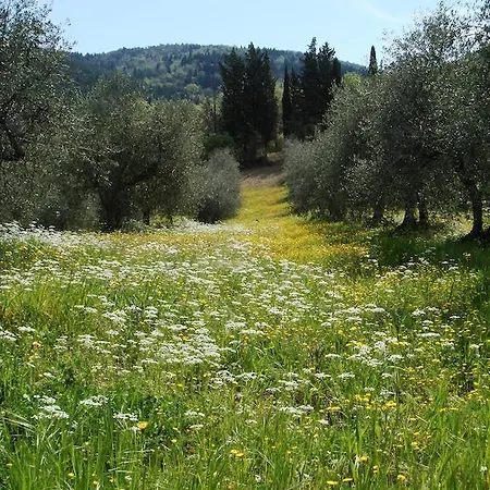 Podere Patrignone Castellina in Chianti