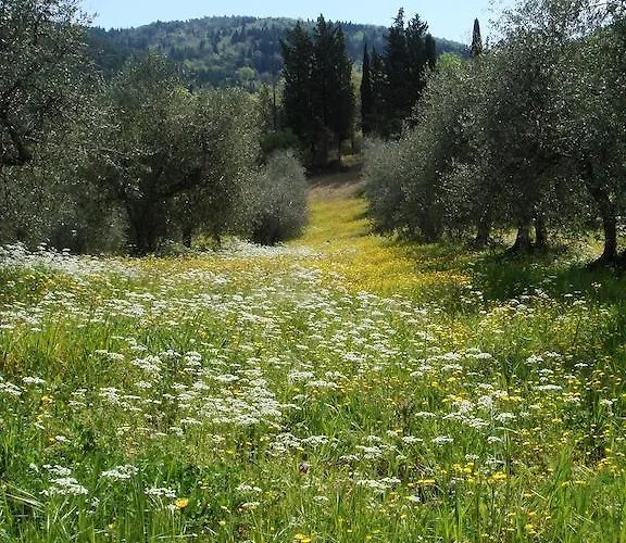 Podere Patrignone Castellina in Chianti